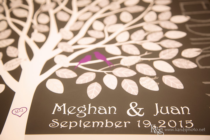 fairmont hotel dallas wedding-1